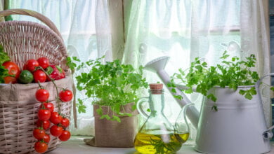 piante aromatiche in cucina
