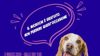 teggiamo microchip