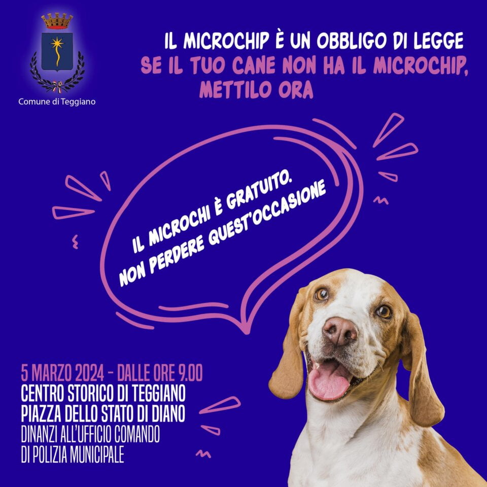 teggiamo microchip