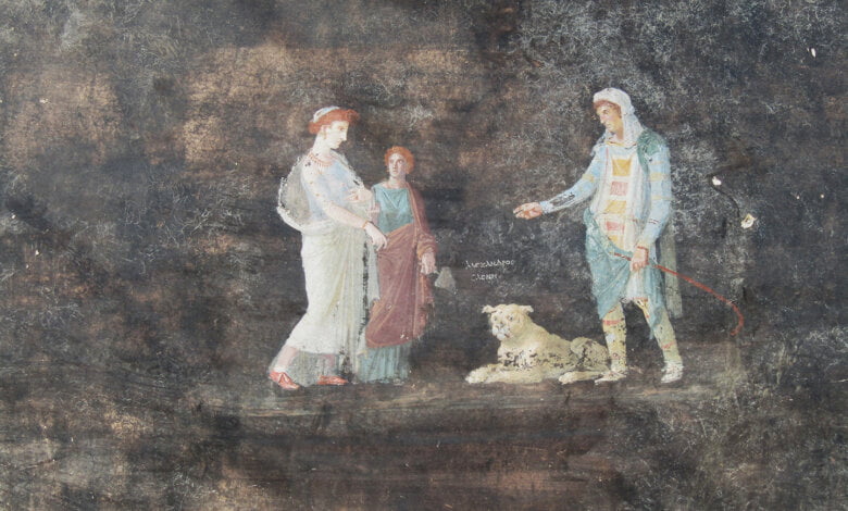 SaloneNeroRegioIX foto