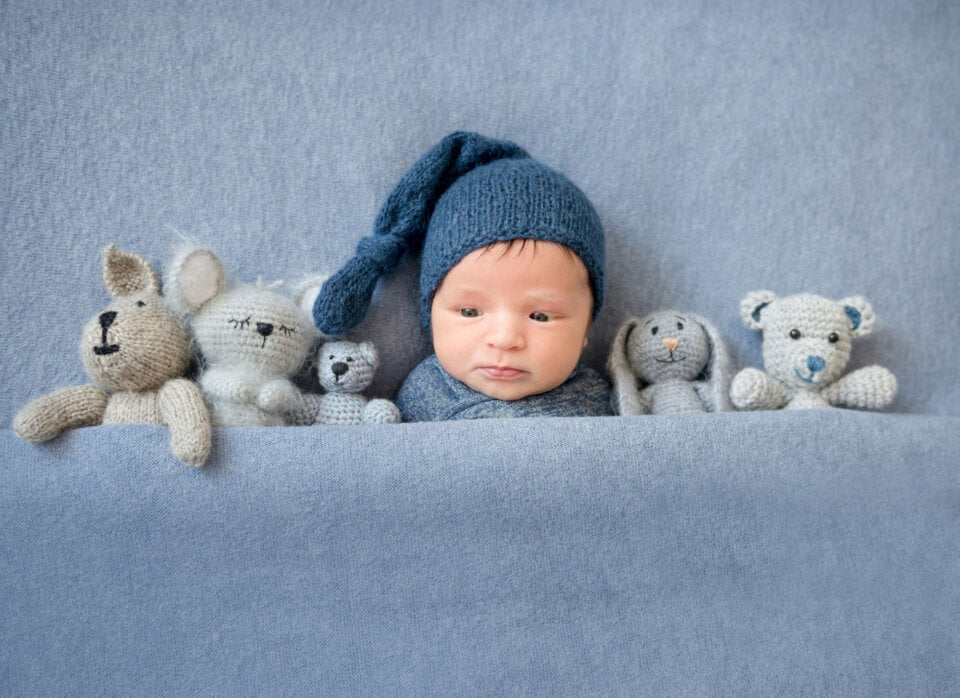 bimbi bimbo micronido
