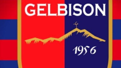 gelbison