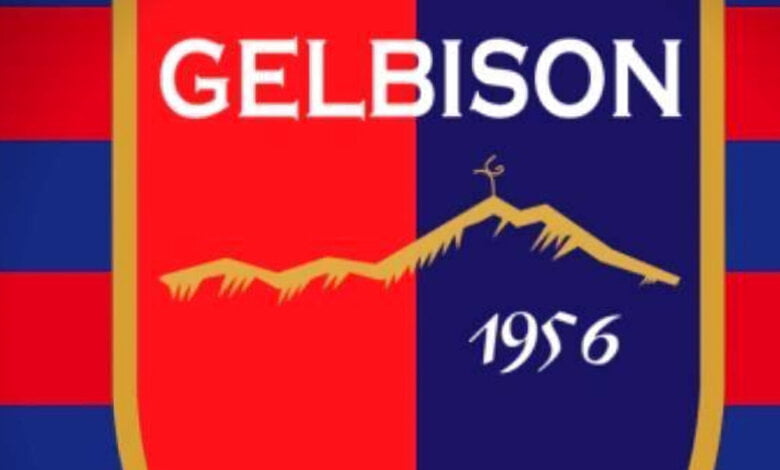 gelbison