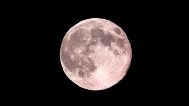 luna piena rosa
