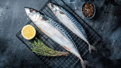 olio di pesce sgombro