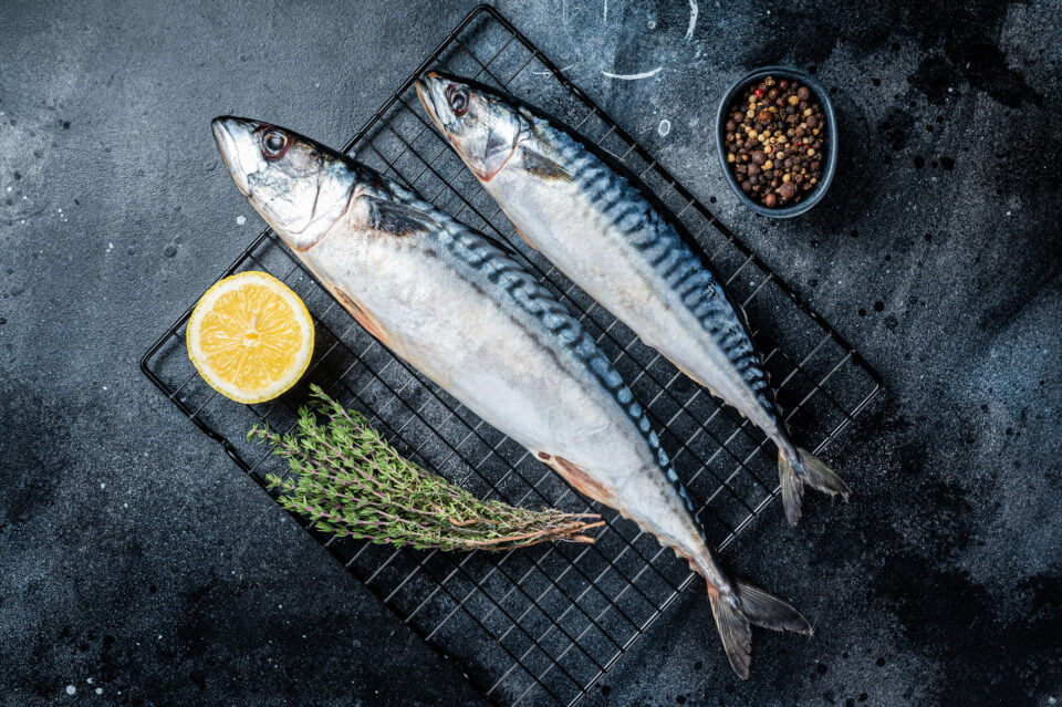 olio di pesce sgombro