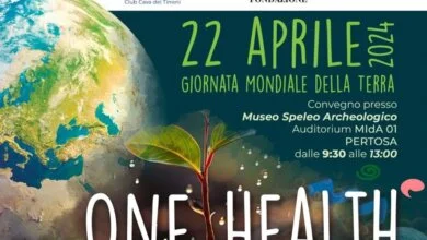 one healt