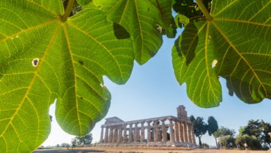 paestum velia parmenide sulla natura