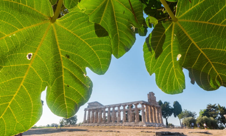 paestum velia parmenide sulla natura