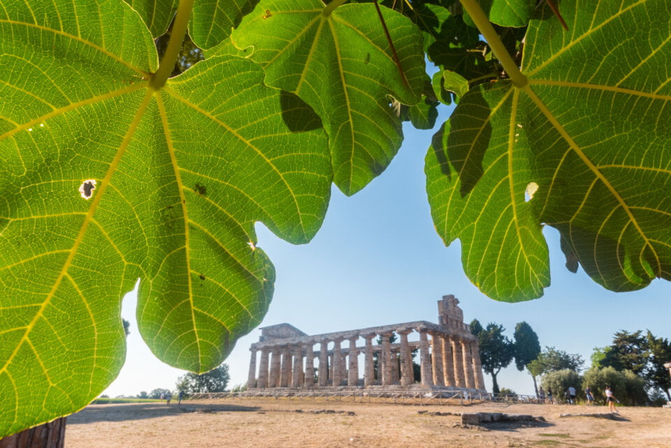 paestum velia parmenide sulla natura