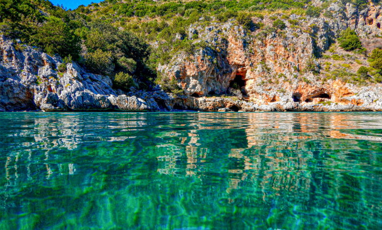 Infreschi trasparenze