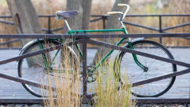 bici