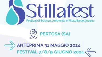 stillafest