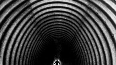 tunnel manica cover