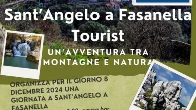 WhatsApp Image at .. ()