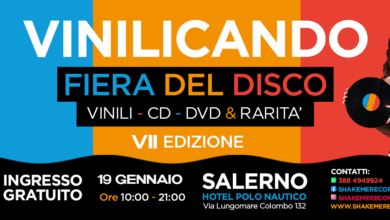 BANNER VINILICANDO VII