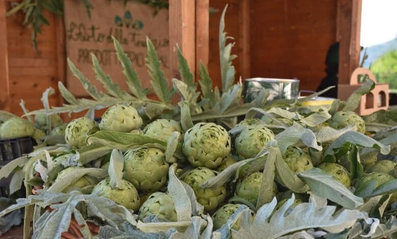 AULETTA CARCIOFO BIANCO