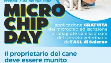 Senza titolo
