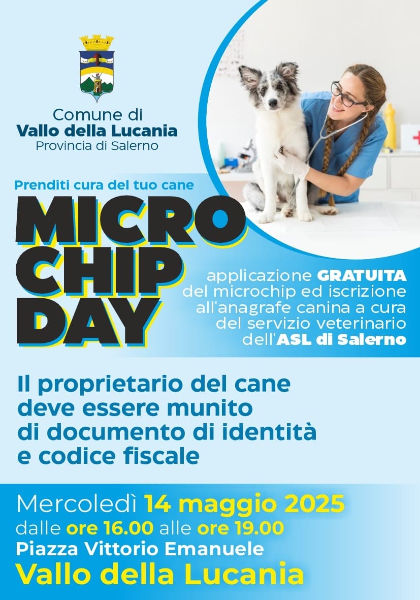 Senza titolo