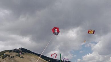 festaorchidee
