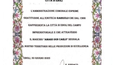 Riconoscimento Comune di Eboli a Carlo Gargiulo e Angela Caliendo