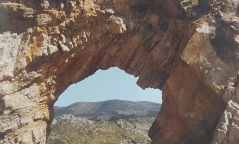 WhatsApp Image at ..