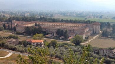 padula
