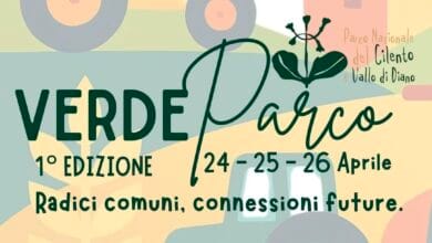 Screenshot Instagram