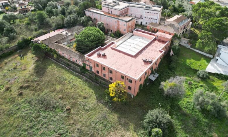immagine De Vivo