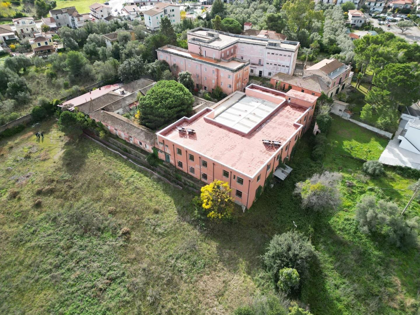 immagine De Vivo