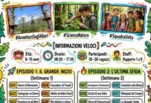 IMG WA