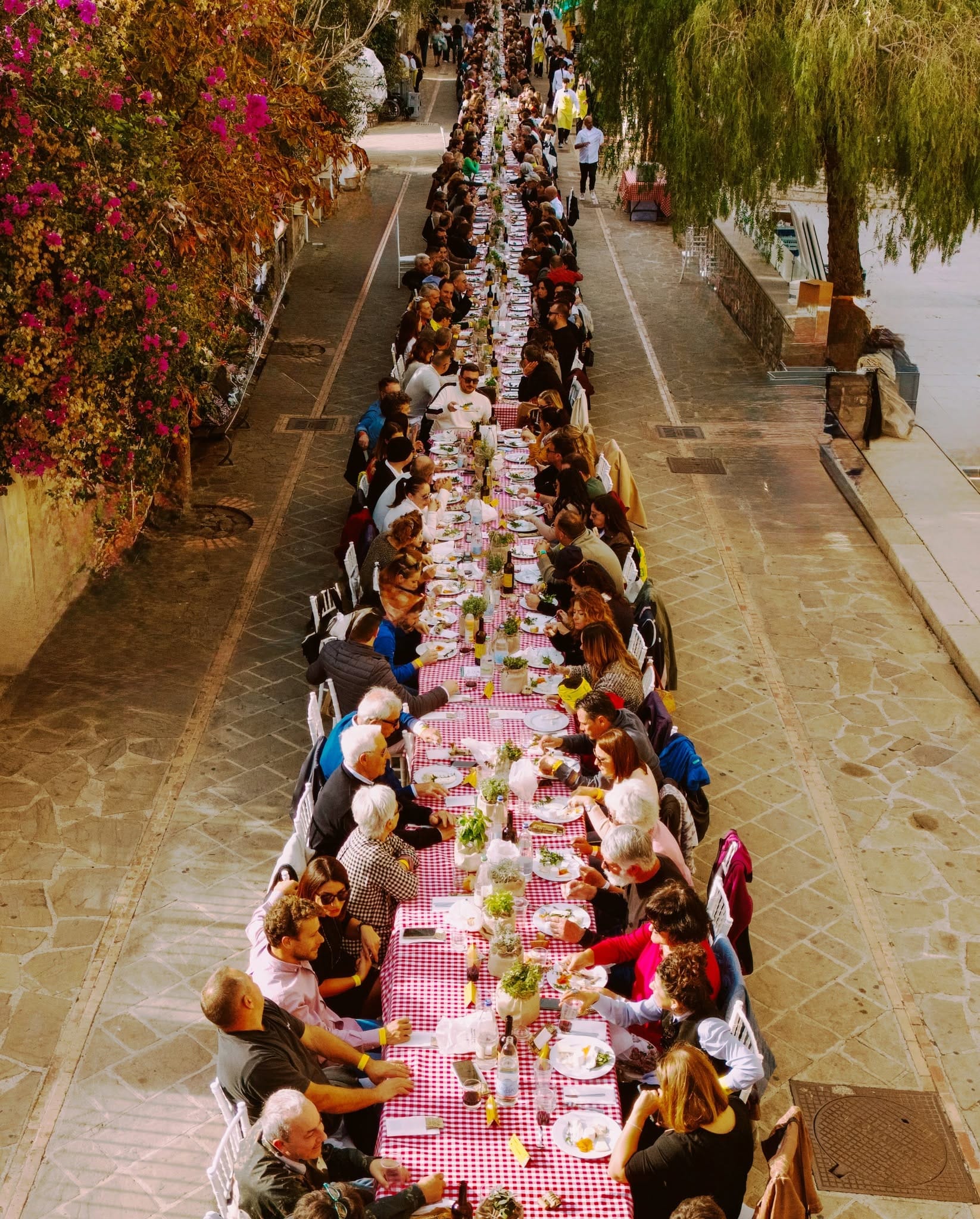 Foto Dieta Mediterranea