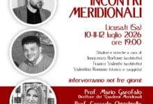 Incontri Meridionali Interventi