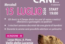 castingcanis