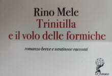 Rino Mele