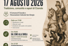 Senza titolo