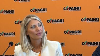 angela pisacane