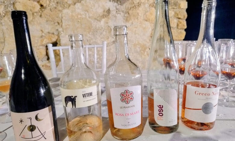 vini premiati selezione tirreno sm
