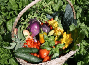 Screenshot at Rosmarinonews.it Comunità del cibo e biodiversità il progetto VA.PA.AGRO. del CREA porta in viaggio l’agrobiodiversità campana