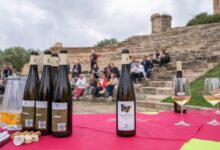 Foto Il Vino e la Magna Grecia ()