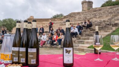 Foto Il Vino e la Magna Grecia ()