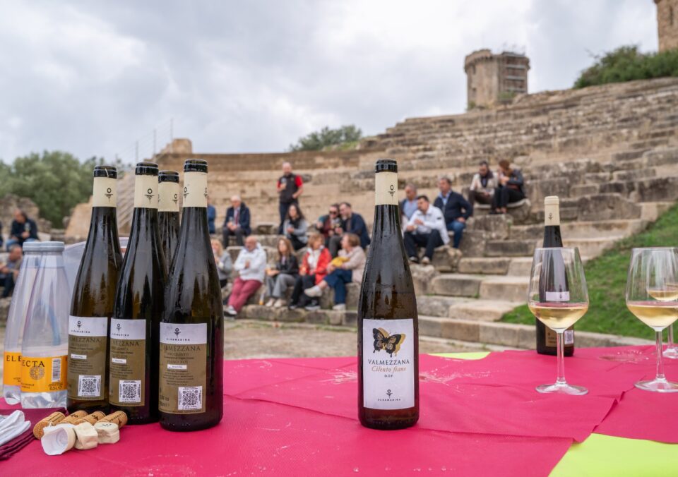 Foto Il Vino e la Magna Grecia ()