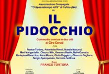 il pidocchio locandina