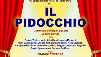 il pidocchio locandina
